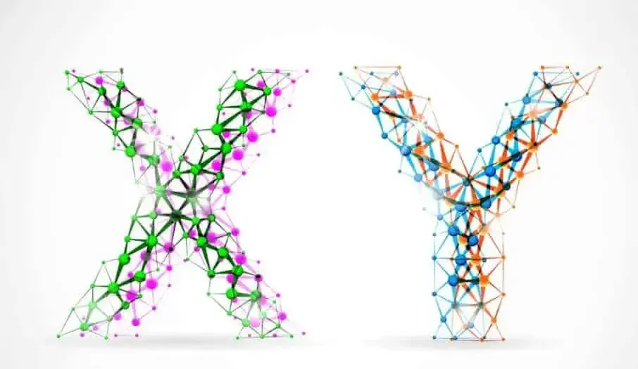 y chromosome dna testing