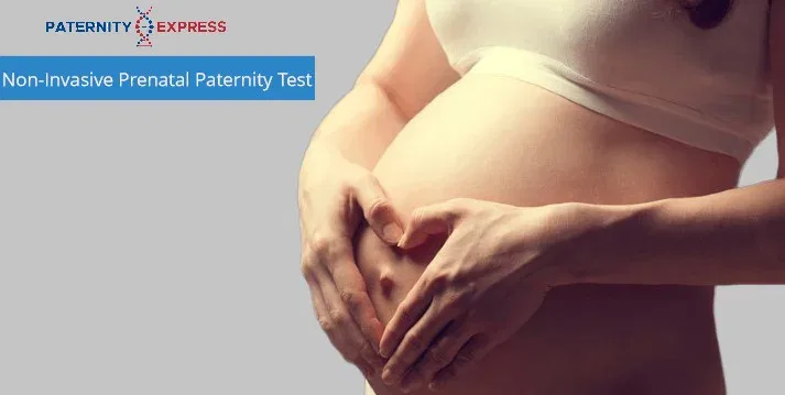 NIPP DNA Test