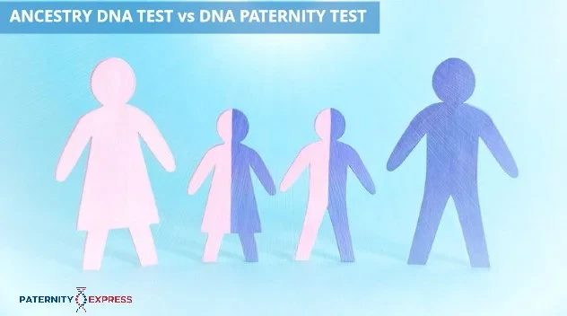 dna relationship test and ancestry comparisons