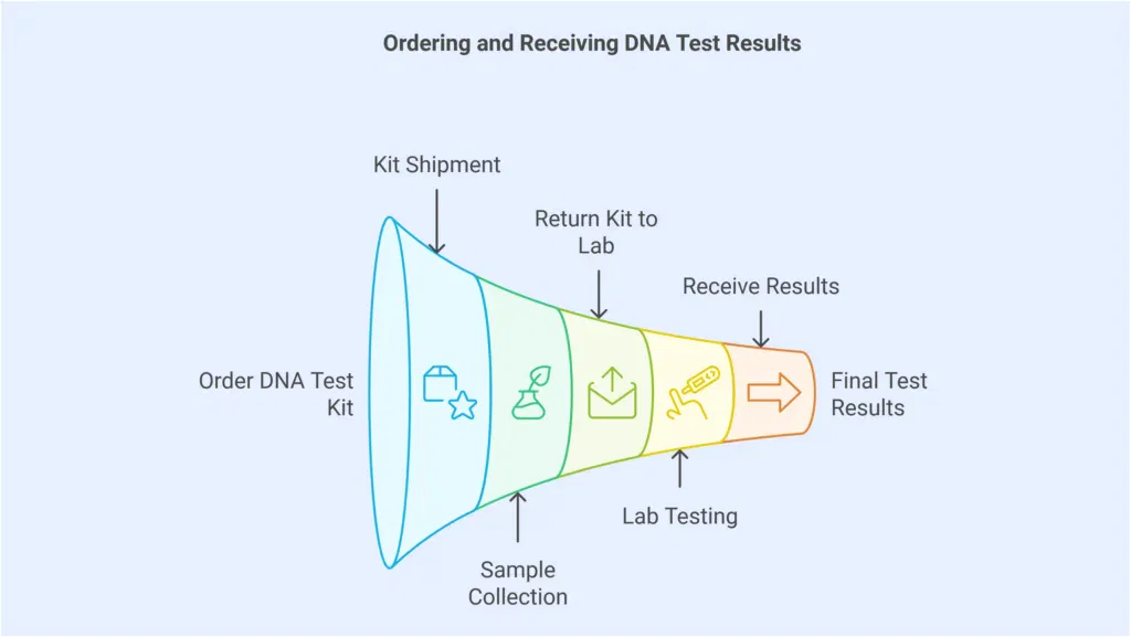 home dna testing process