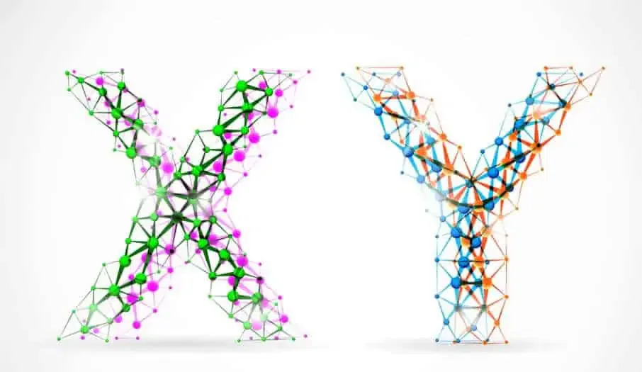 y chromosome dna testing