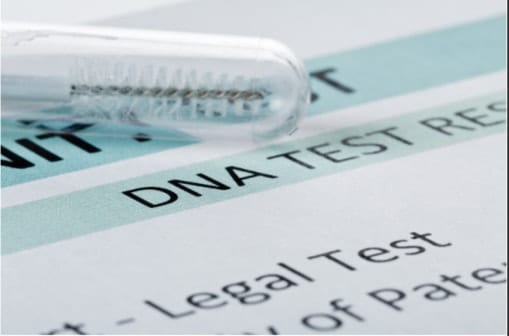 Legal dna test