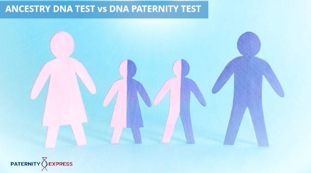 dna relationship test and ancestry comparisons