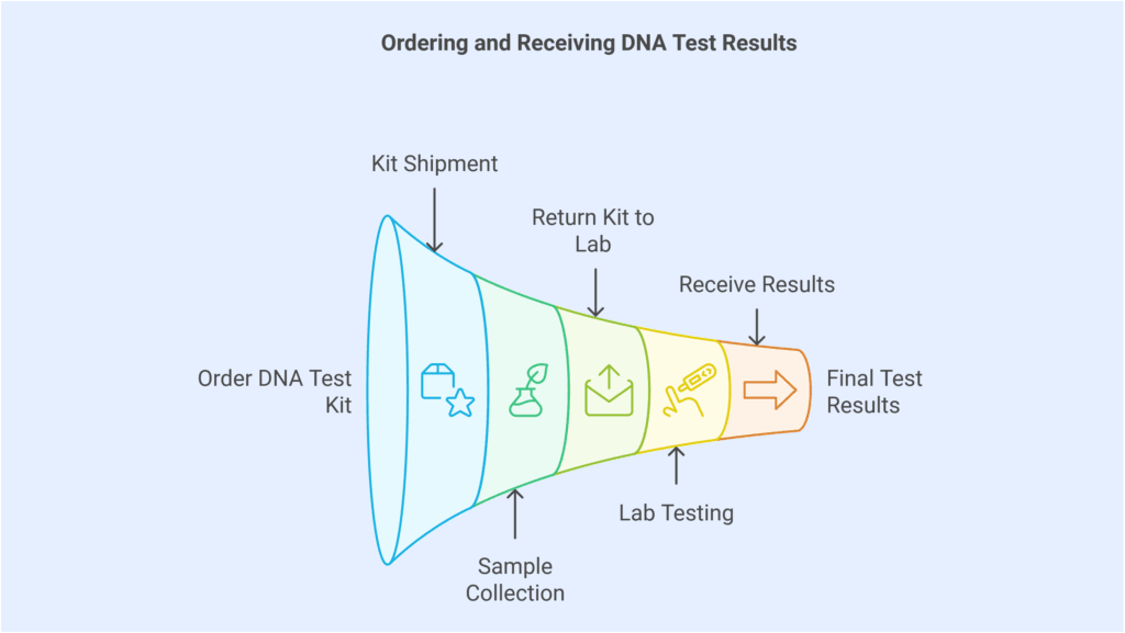 home dna testing process