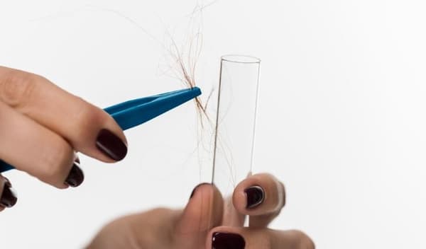 paternity testing with hair