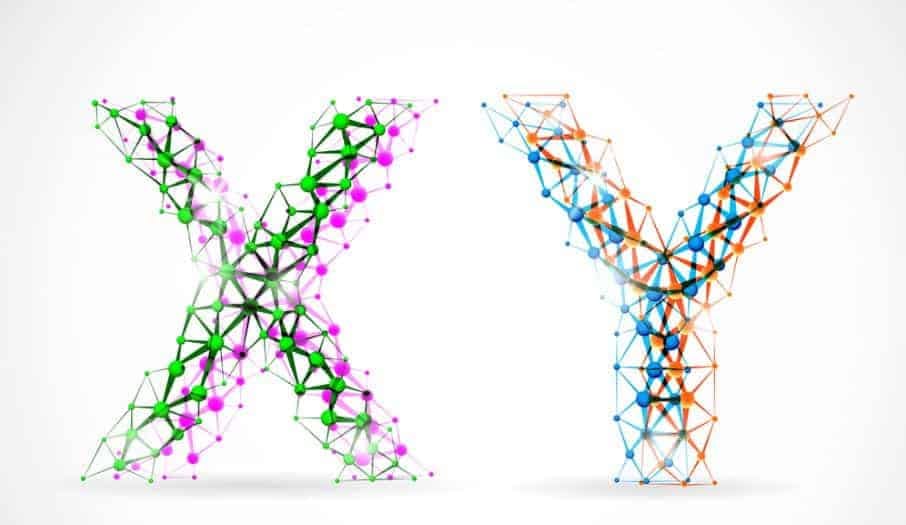 y chromosome dna testing