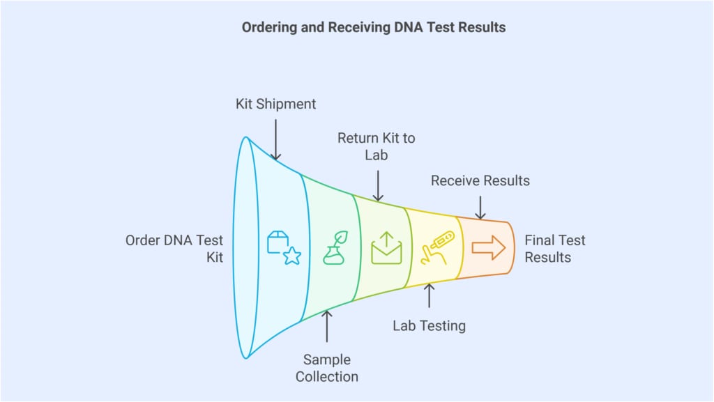 home dna testing process